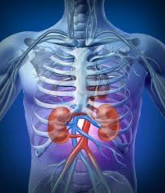 Your kidney function is very important to your overall health