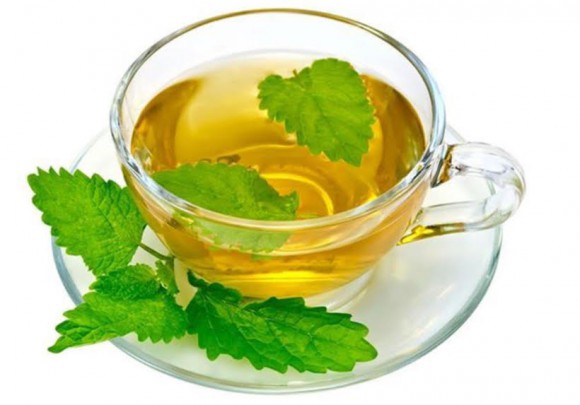 nettle tea