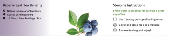 bilberry banner